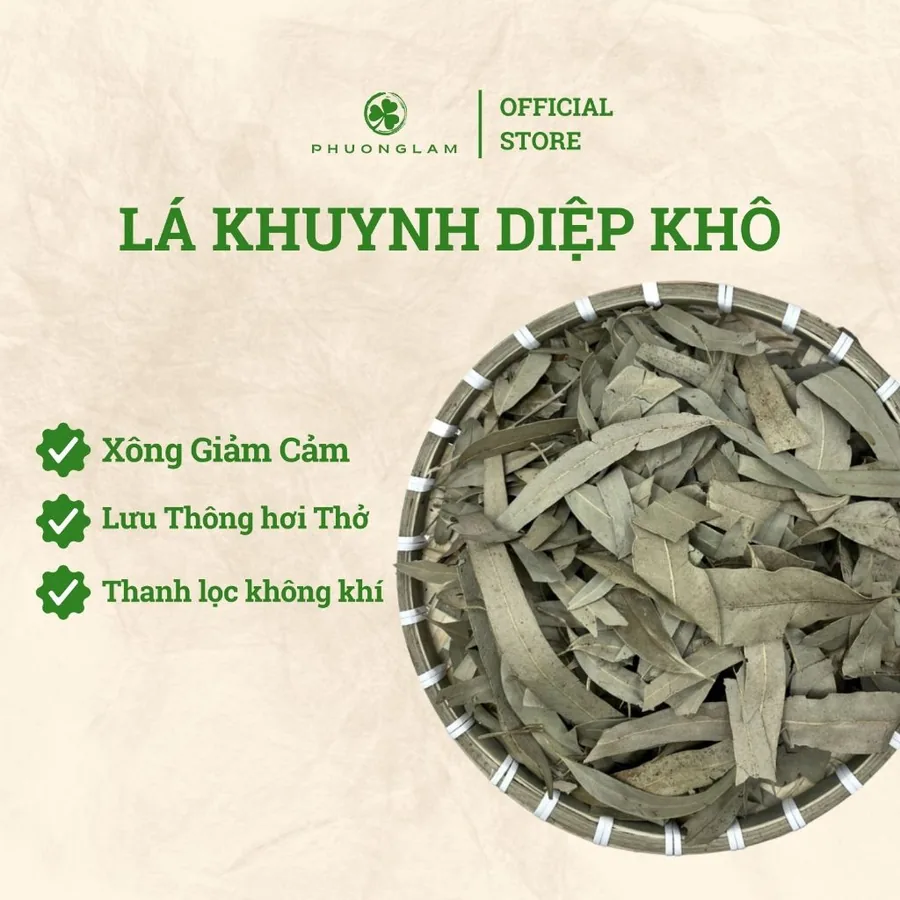 Lá khuynh diệp khô xông nhà giảm cảm thanh lọc không khí