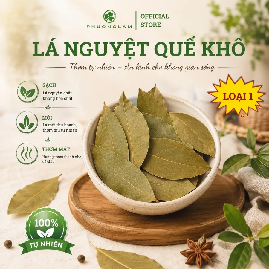 Lá nguyệt quế khô xông nhà, làm gia vị – Phương Lâm